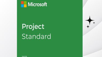 Microsoft Project 2021 Standard Perpetual Review: A Robust Tool for Efficient Project Management 5 Microsoft Project 2021 Standard Farinotech