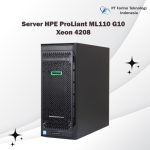Server HPE ProLiant ML110 G10 Xeon 4208 Farinotech